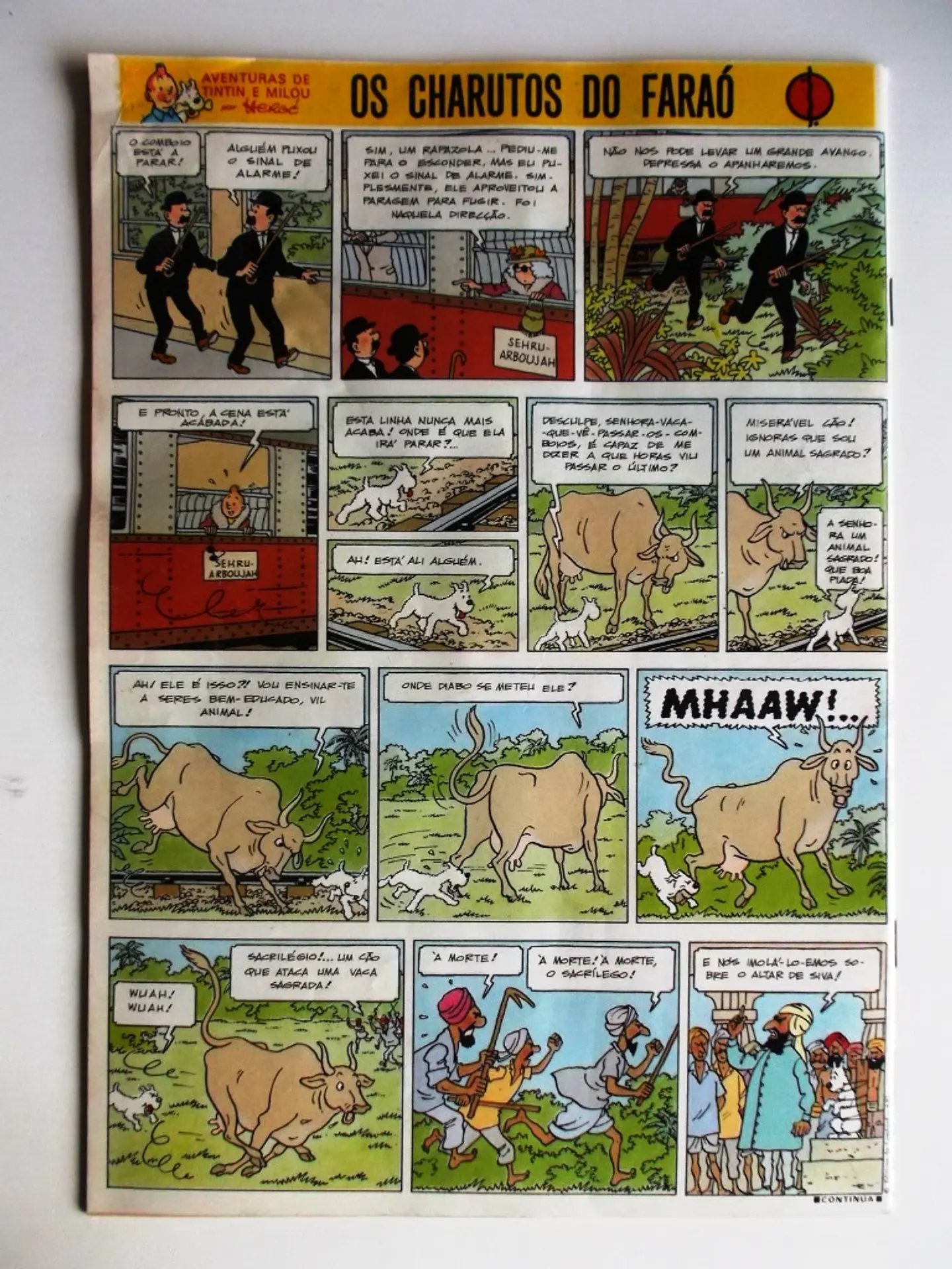 Tintin 0534 2
