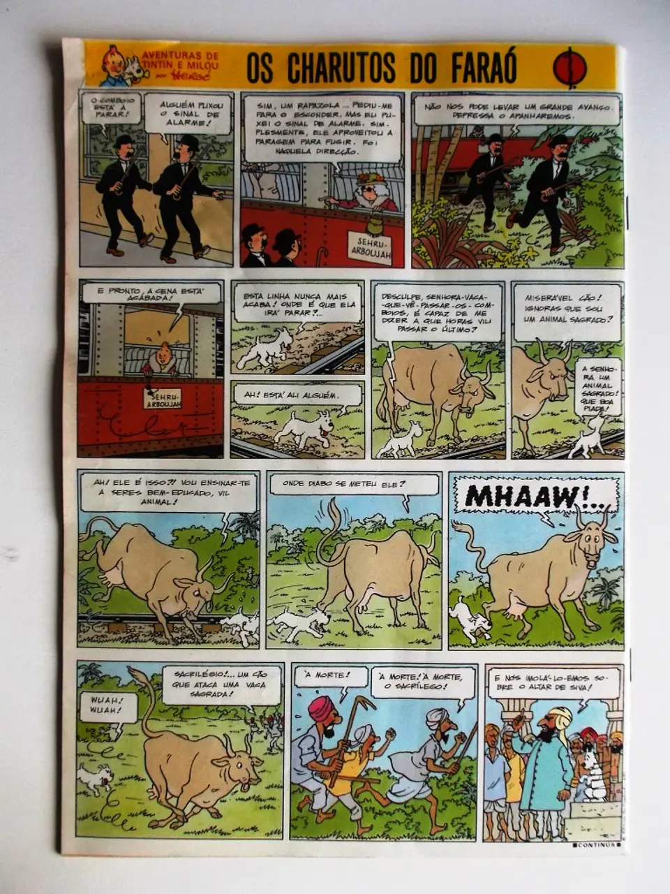 Tintin 0534 2