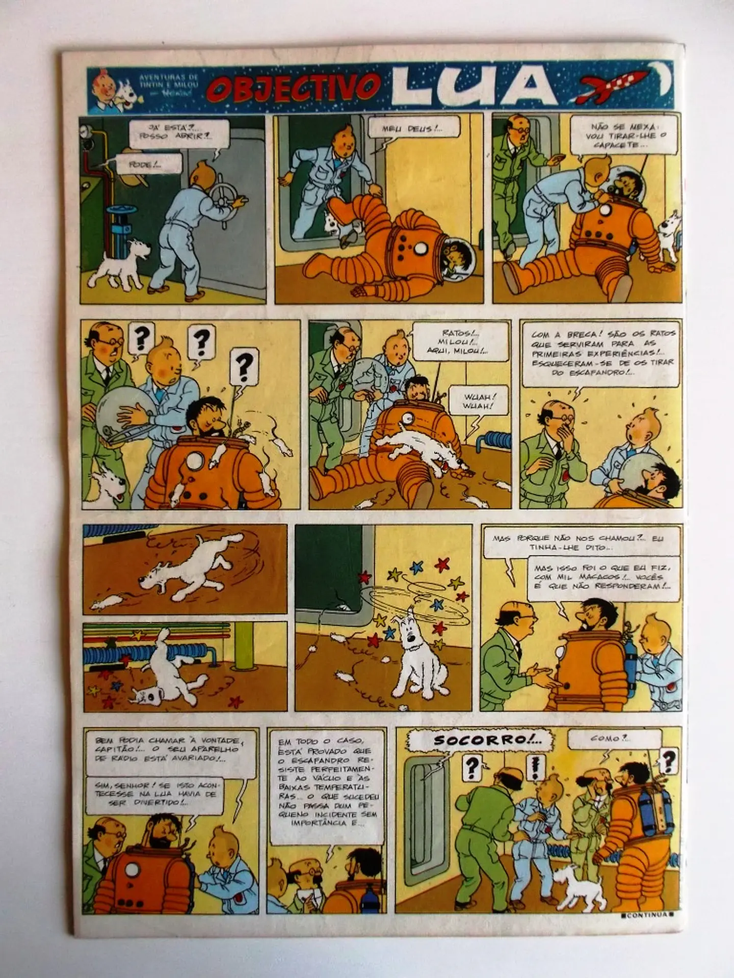 Tintin 0343 2