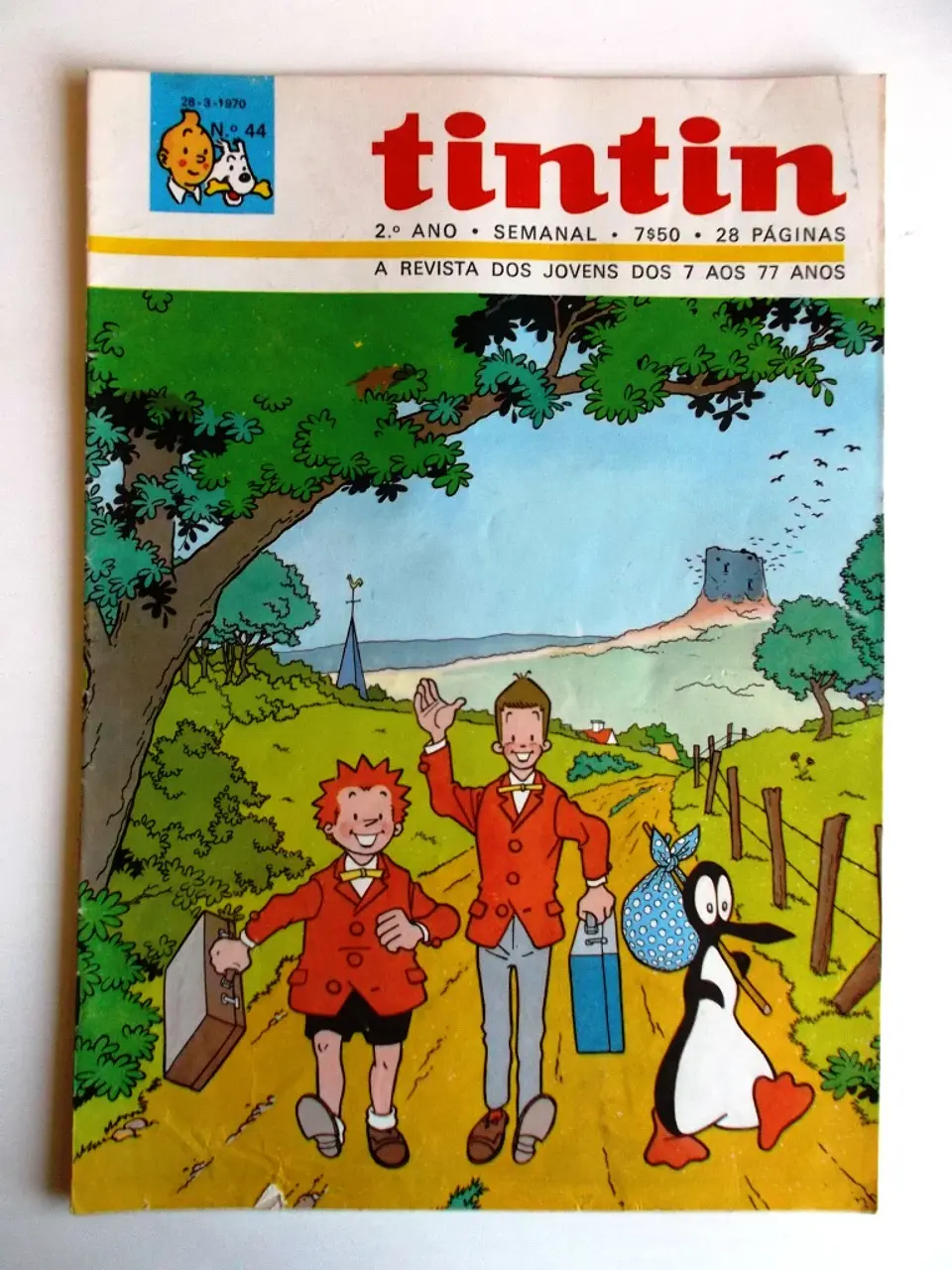 Tintin 0244 1