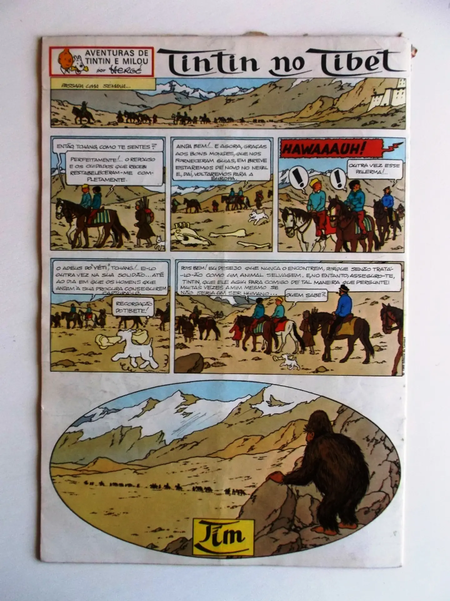 Tintin 0226 2