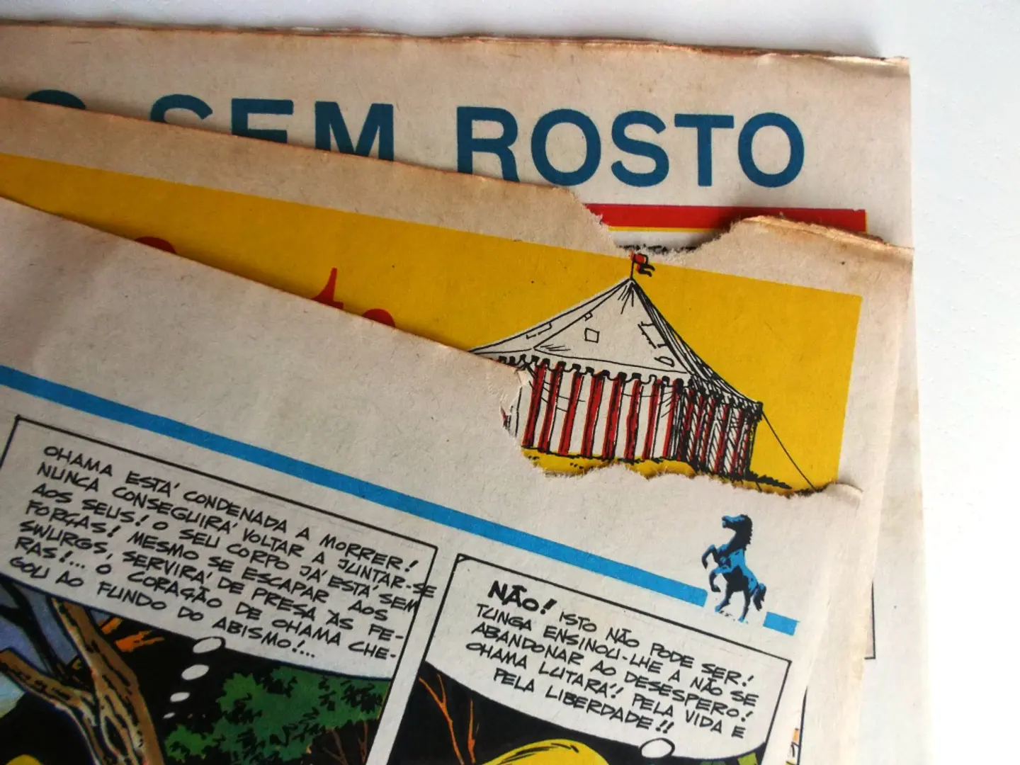 Tintin 0446 4