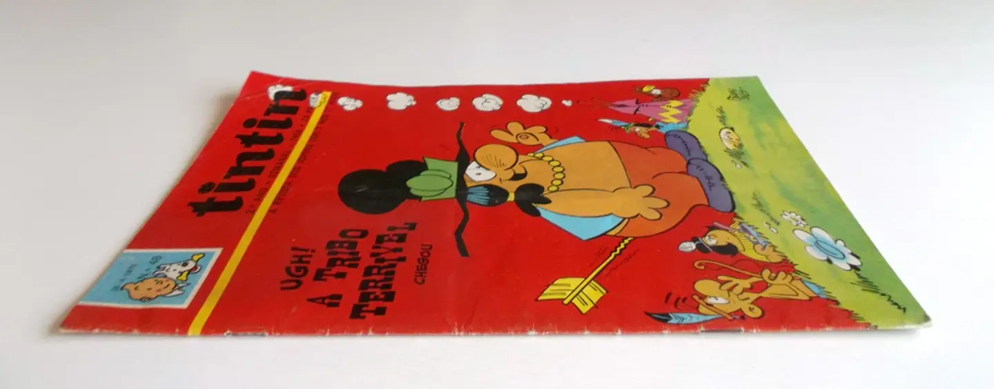 Tintin 0248 3