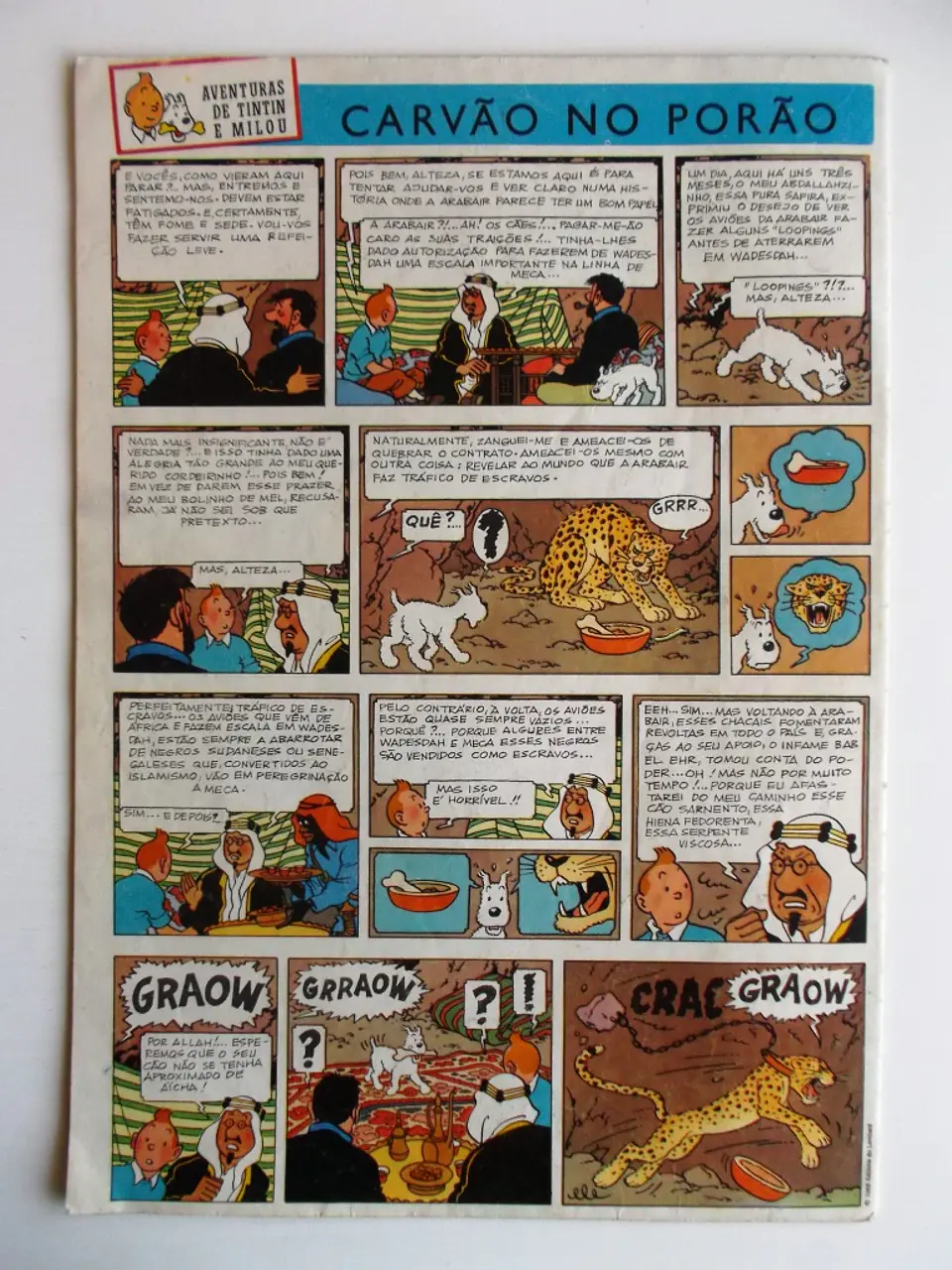 Tintin 0113 2