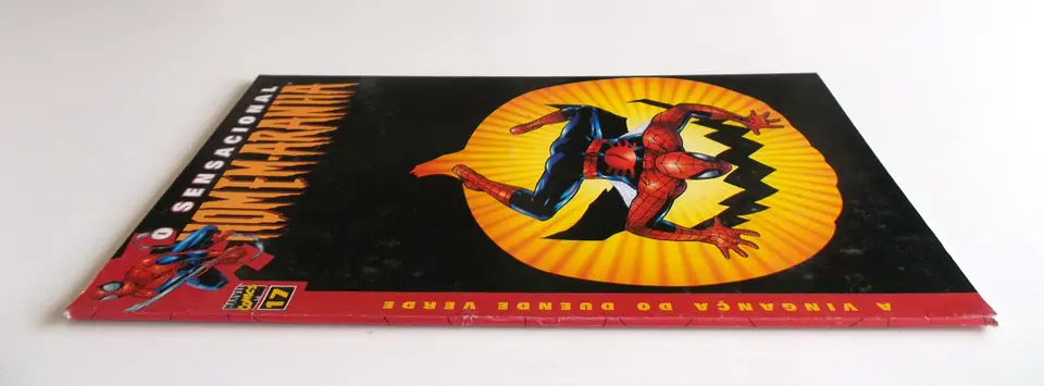 O Sensacional Homem-Aranha 17 3