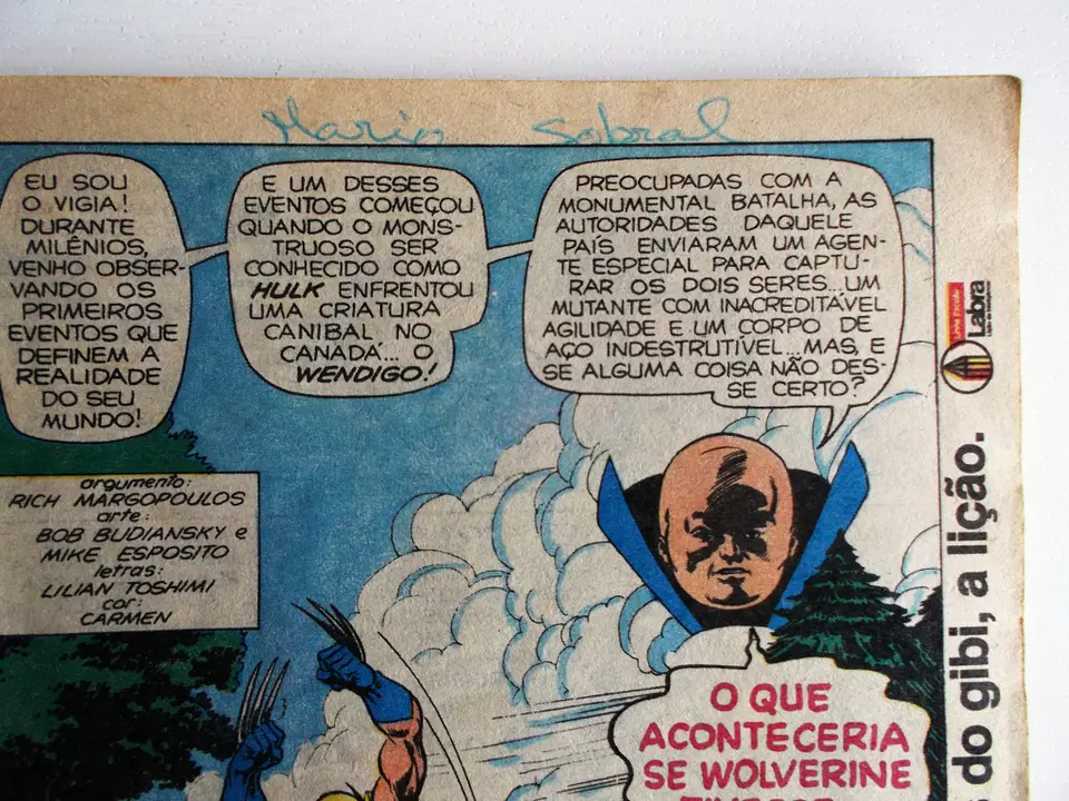 O Incrível Hulk 022 4