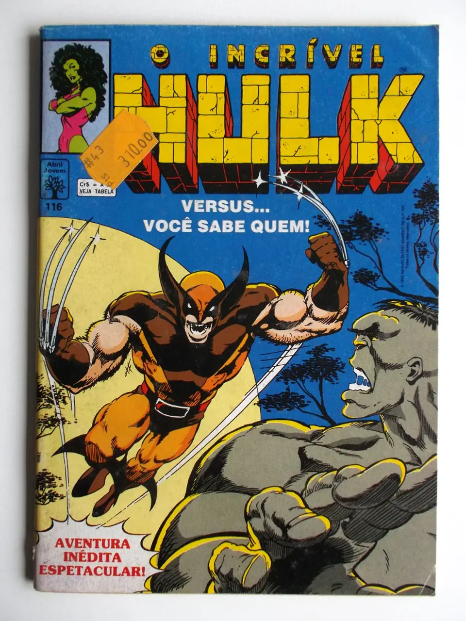O Incrível Hulk 116 1