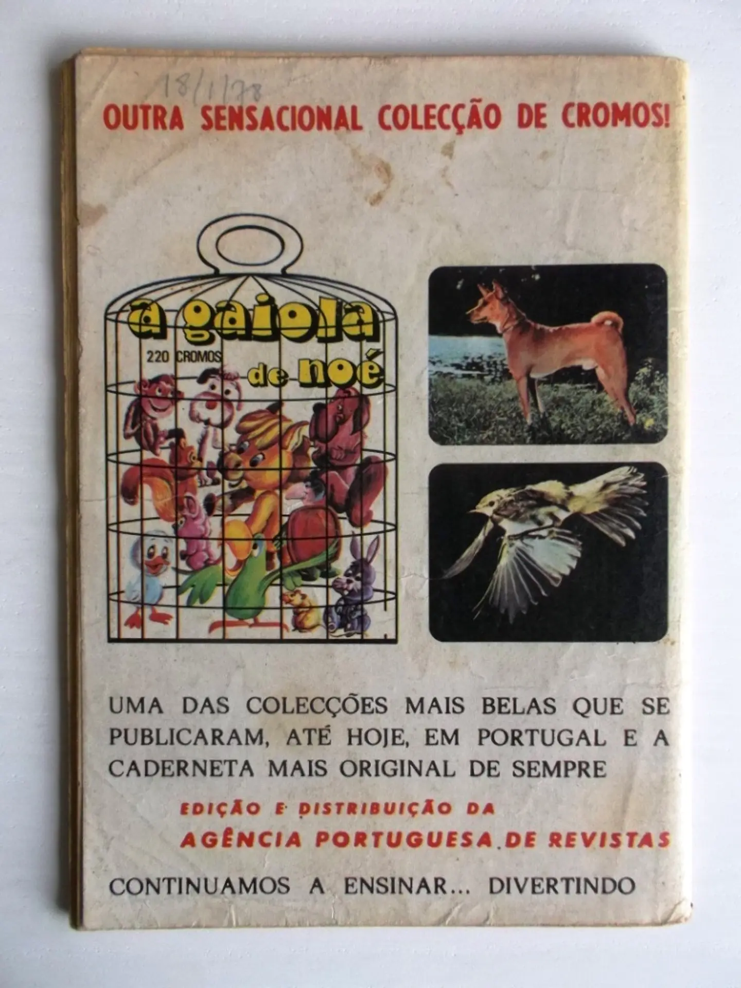 Colecção Tigre 049 | Oliver 2