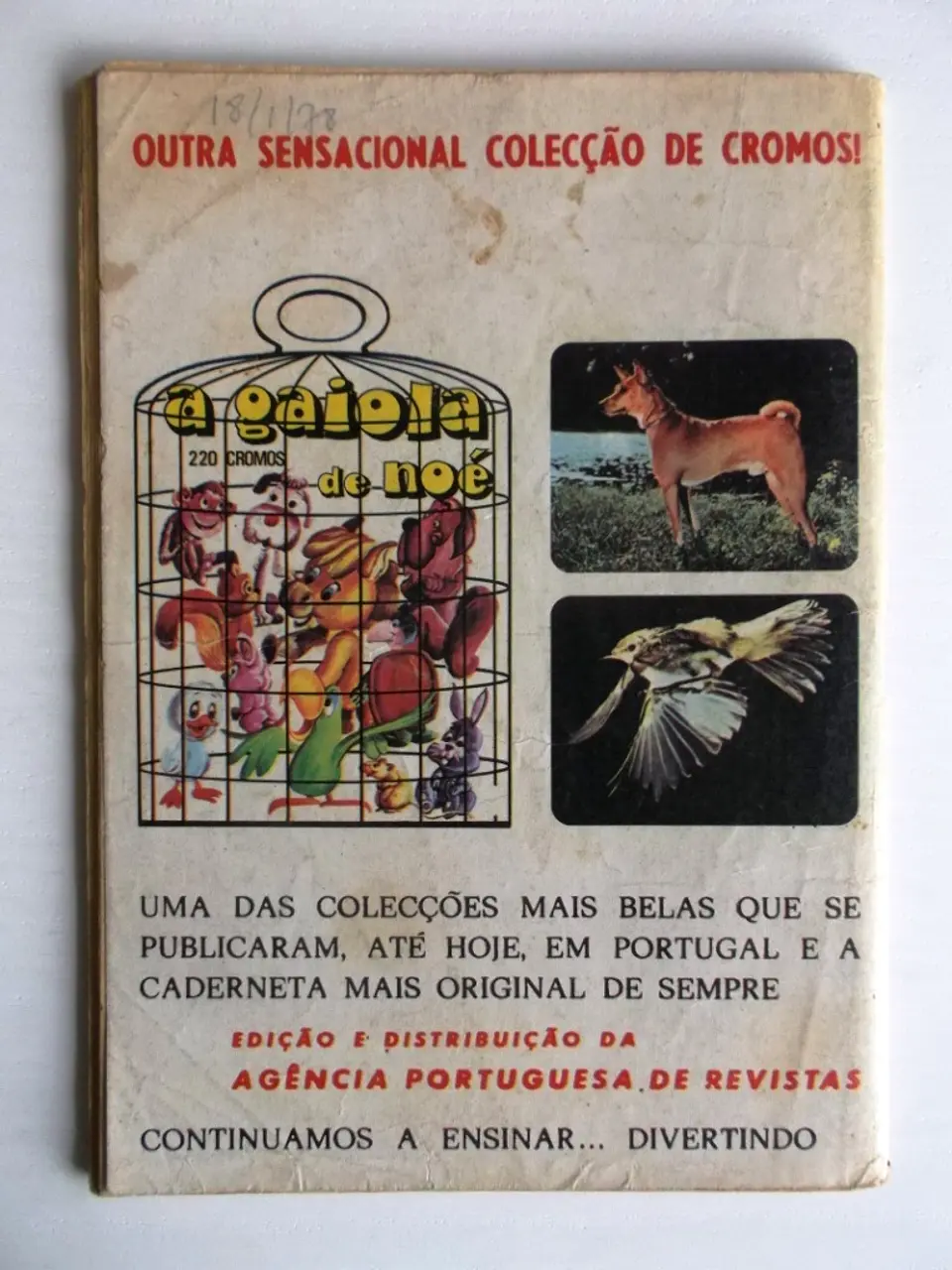 Colecção Tigre 049 | Oliver 2