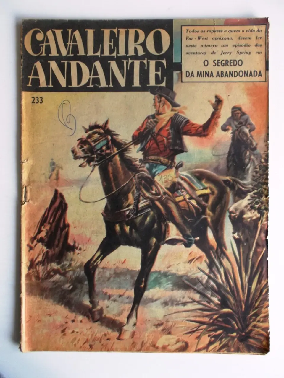 Cavaleiro Andante 233 1