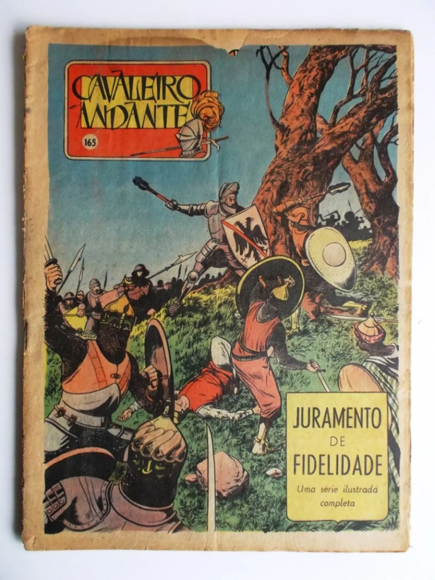 Cavaleiro Andante 165 1