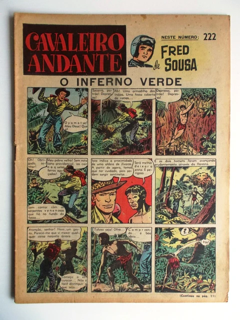 Cavaleiro Andante 222