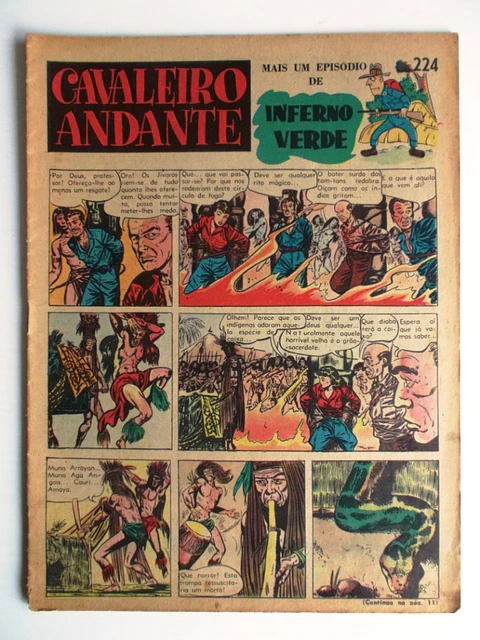 Cavaleiro Andante 224