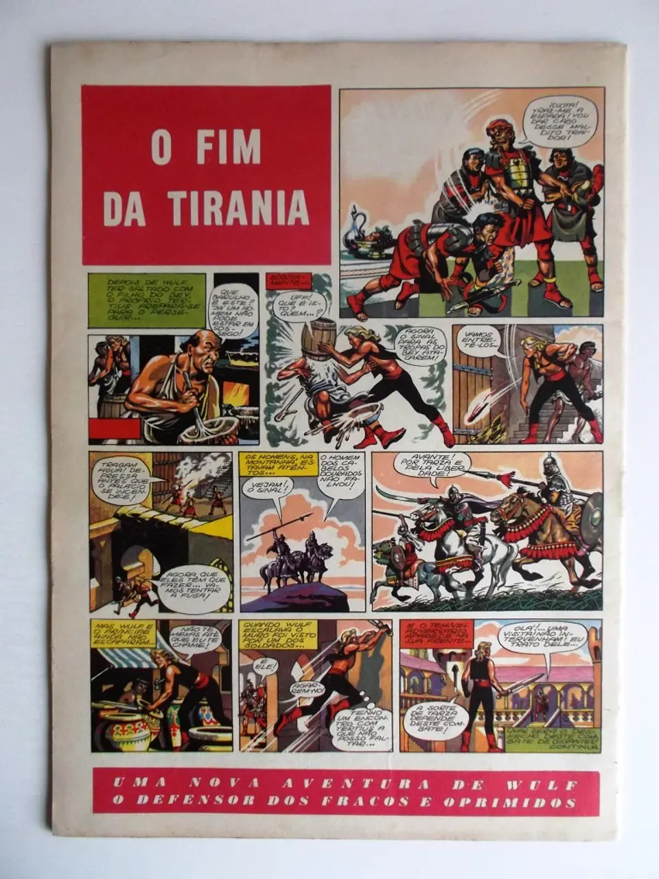 O Falcão 41 2