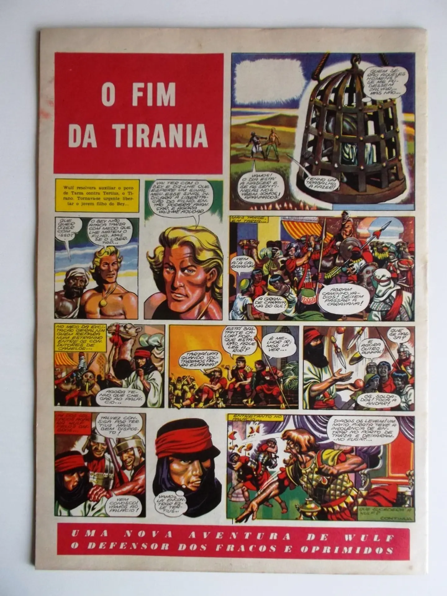 O Falcão 37 2