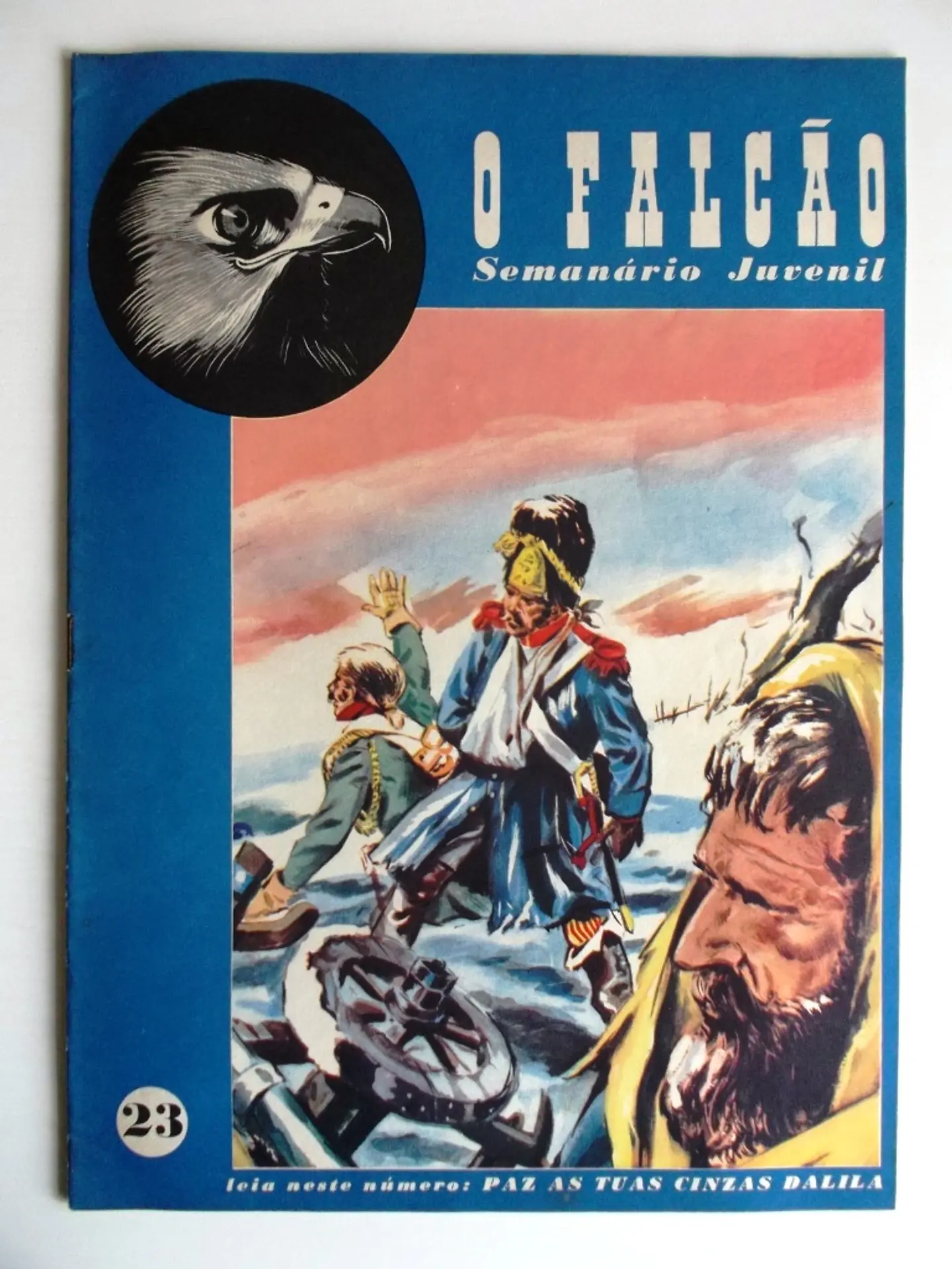 O Falcão 23 1