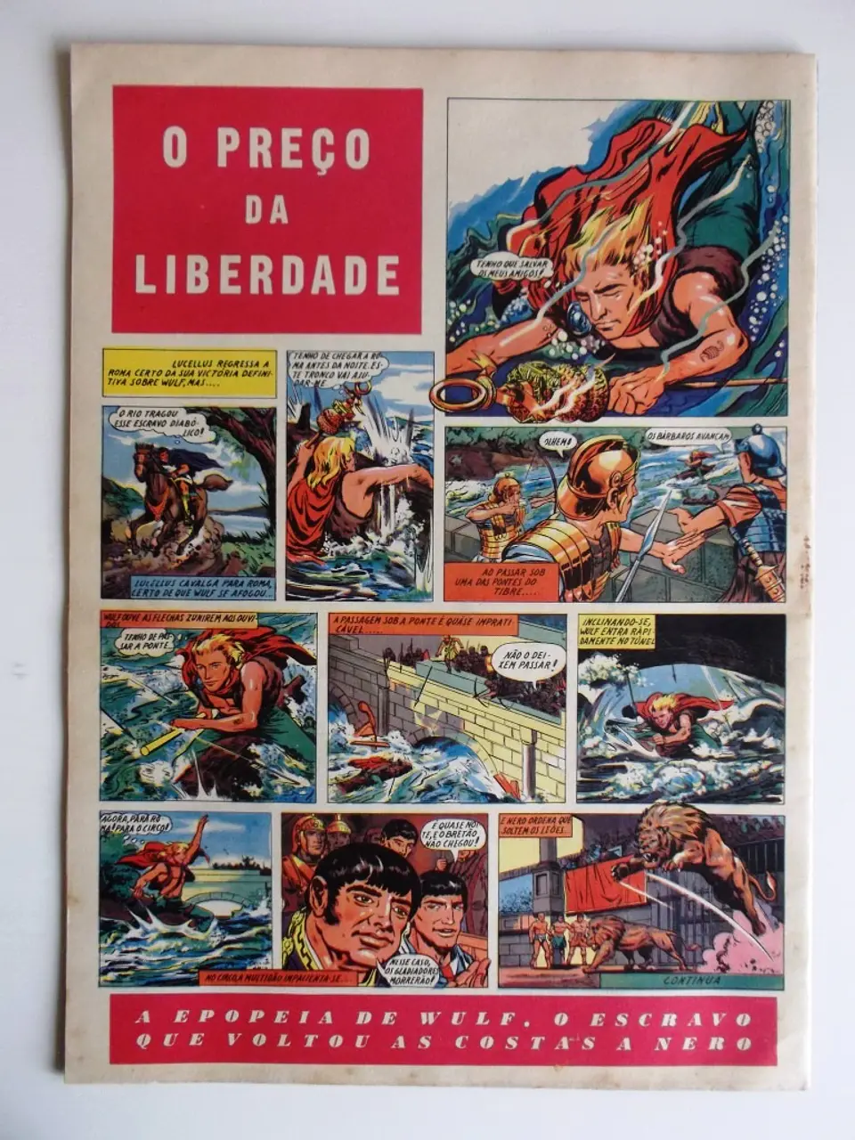 O Falcão 23 2