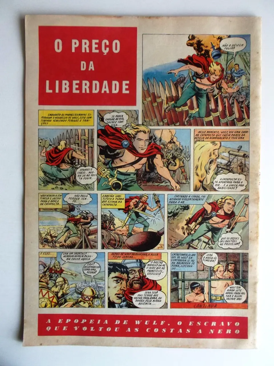 O Falcão 22 2
