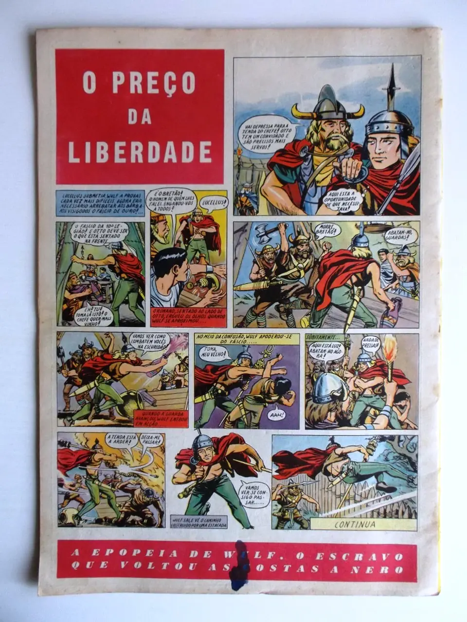 O Falcão 21 2