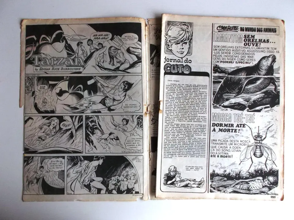 Jornal do Cuto 129 4