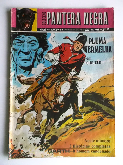 Pantera Negra 06