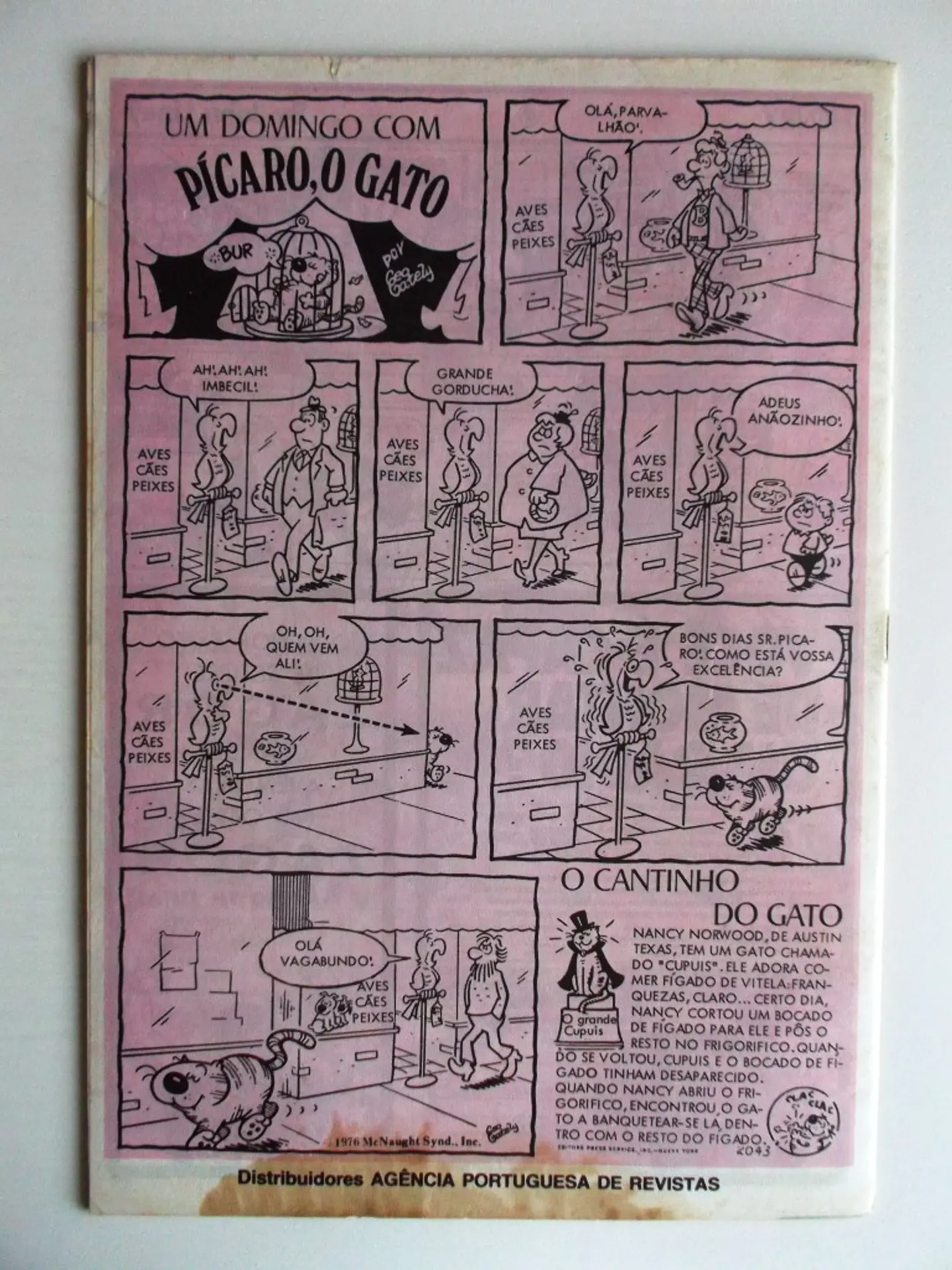 Riquiqui 03 2