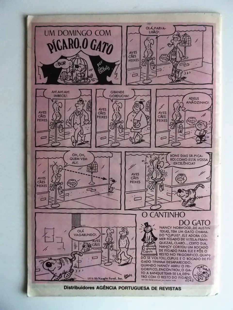 Riquiqui 03 2