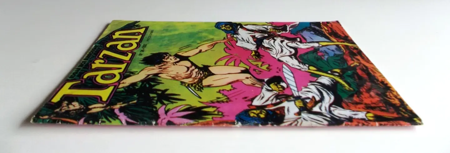 Tarzan 24 3