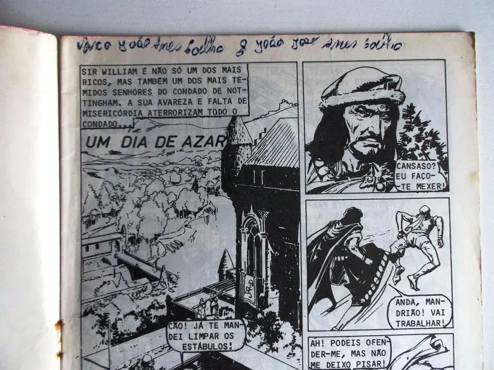 Robin dos Bosques 17 4