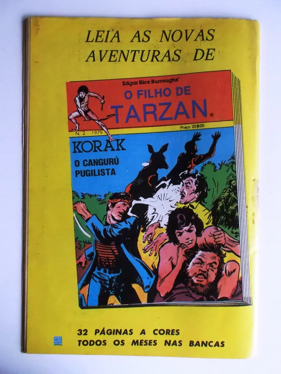 Robin dos Bosques 43 2