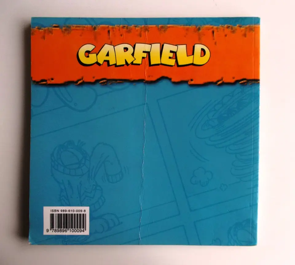 Garfield 2