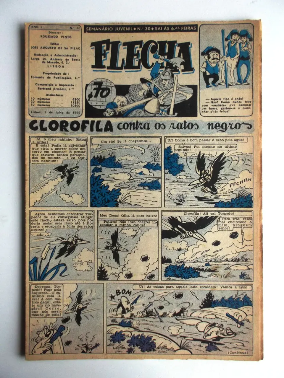 Flecha 30 1