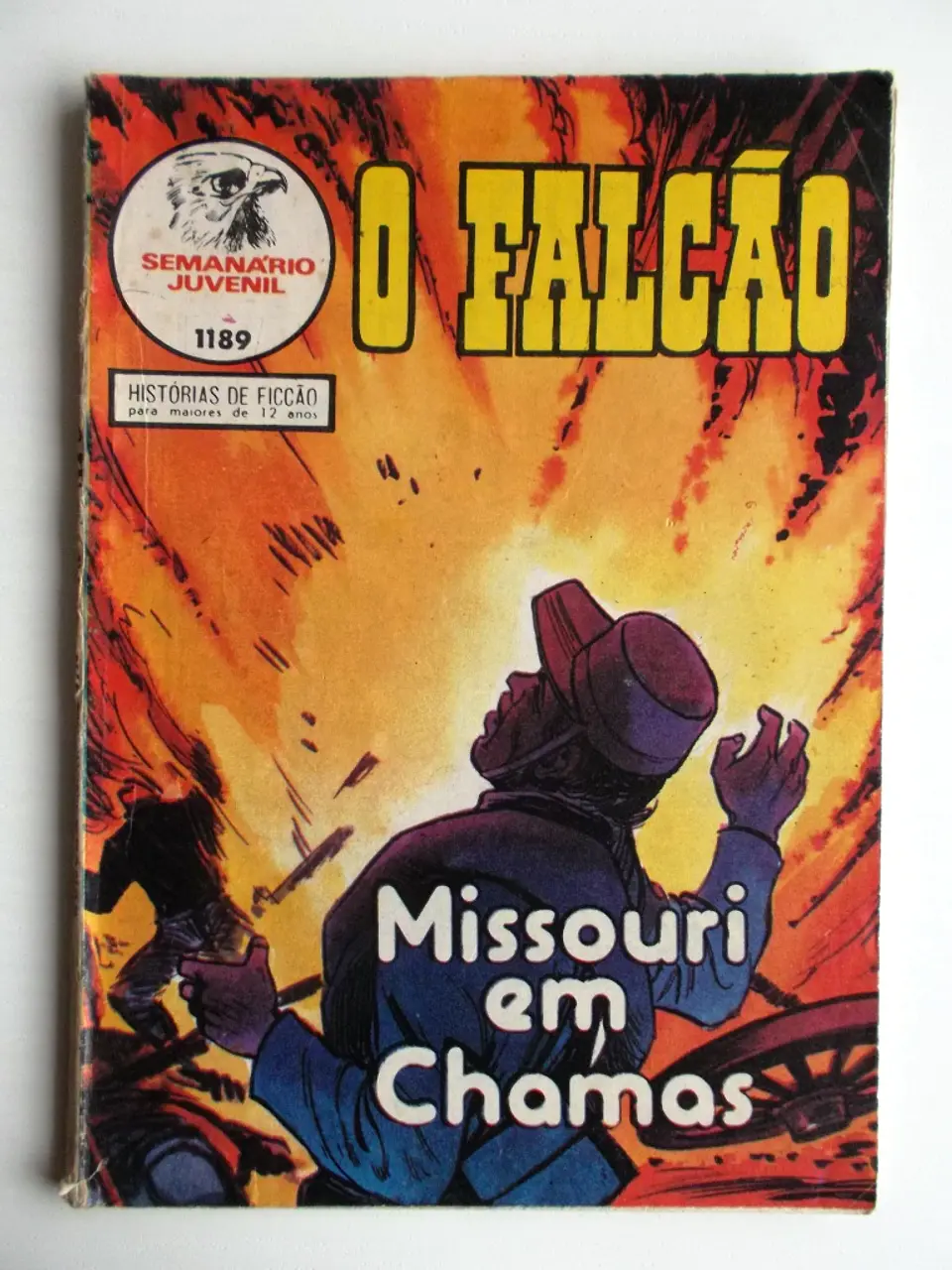 O Falcão 1189 1