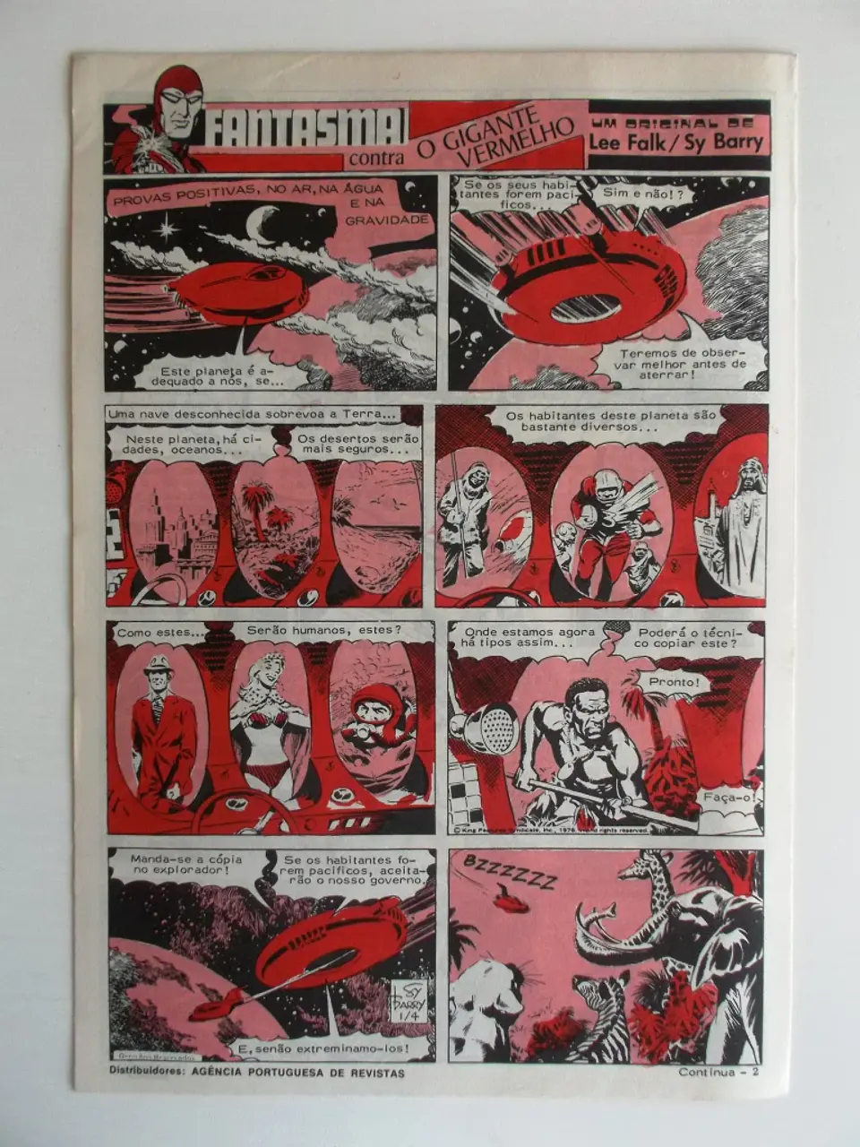 O Grilo 54 2