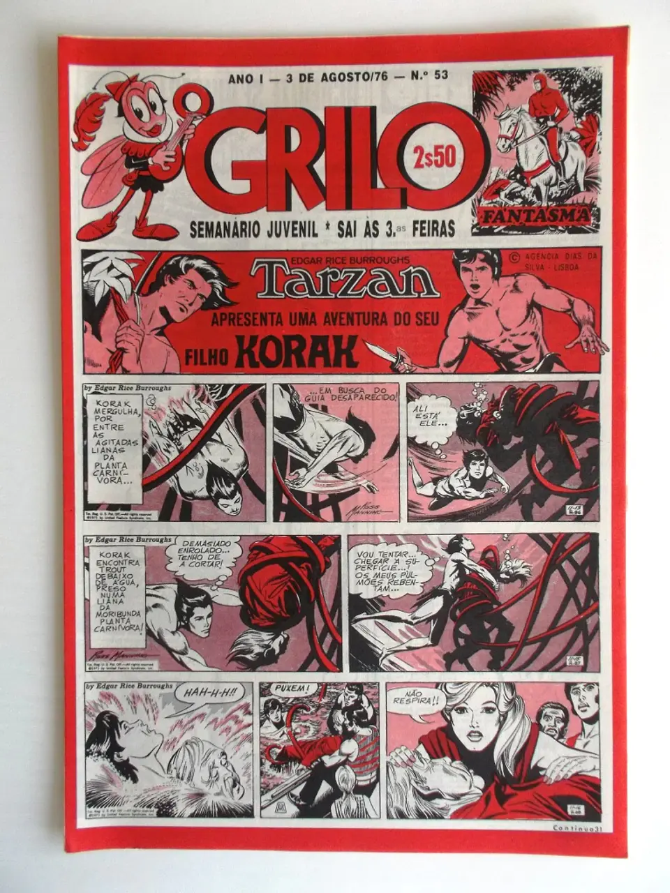 O Grilo 53 1