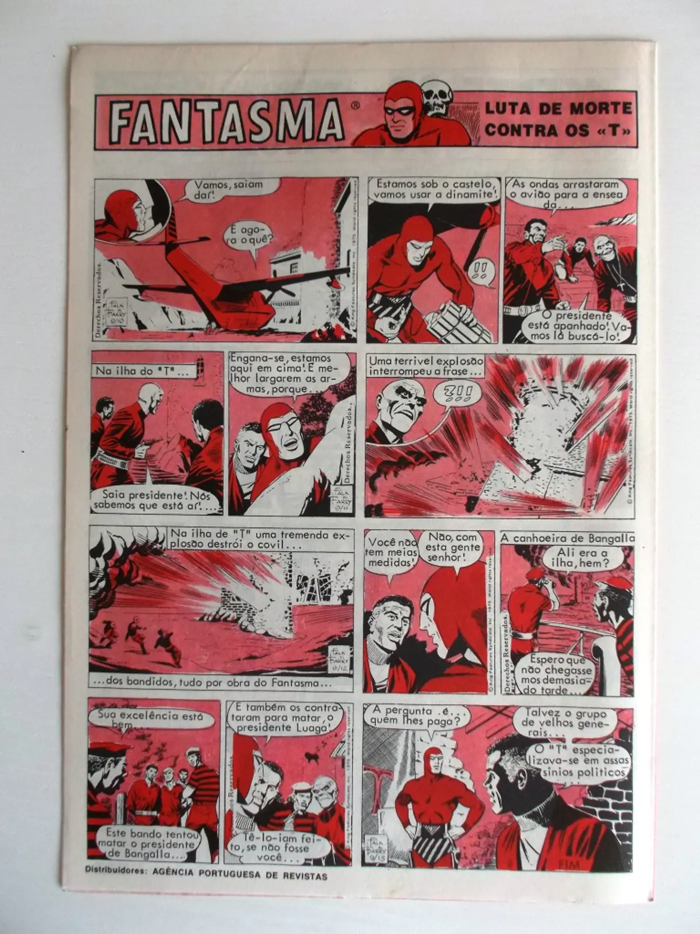O Grilo 52 2