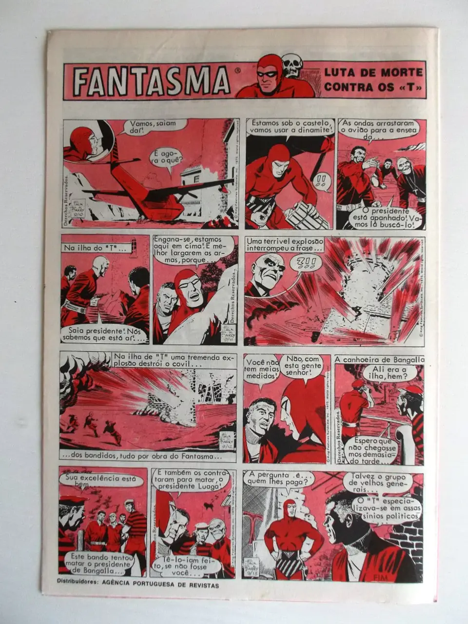 O Grilo 52 2