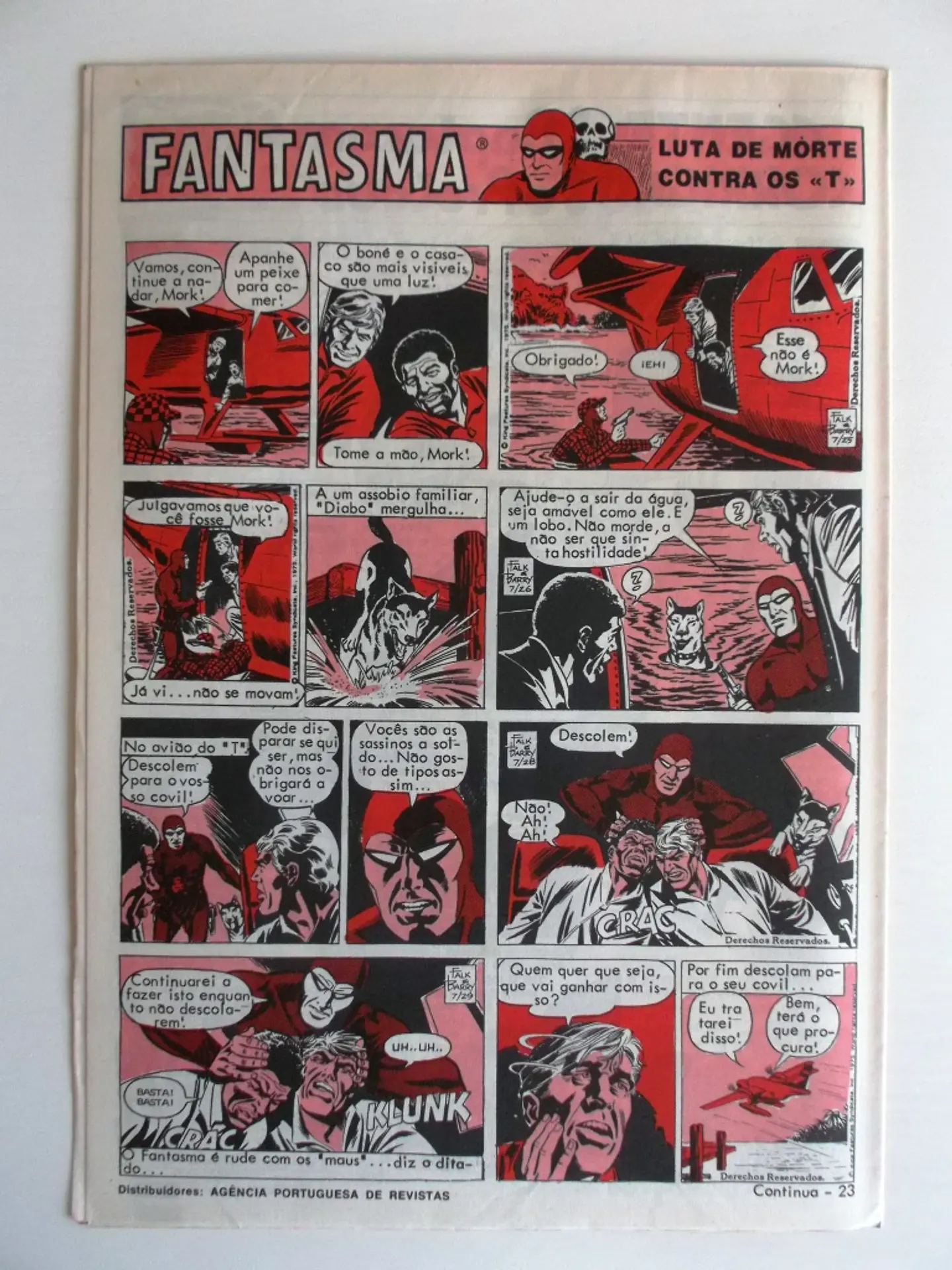 O Grilo 42 2