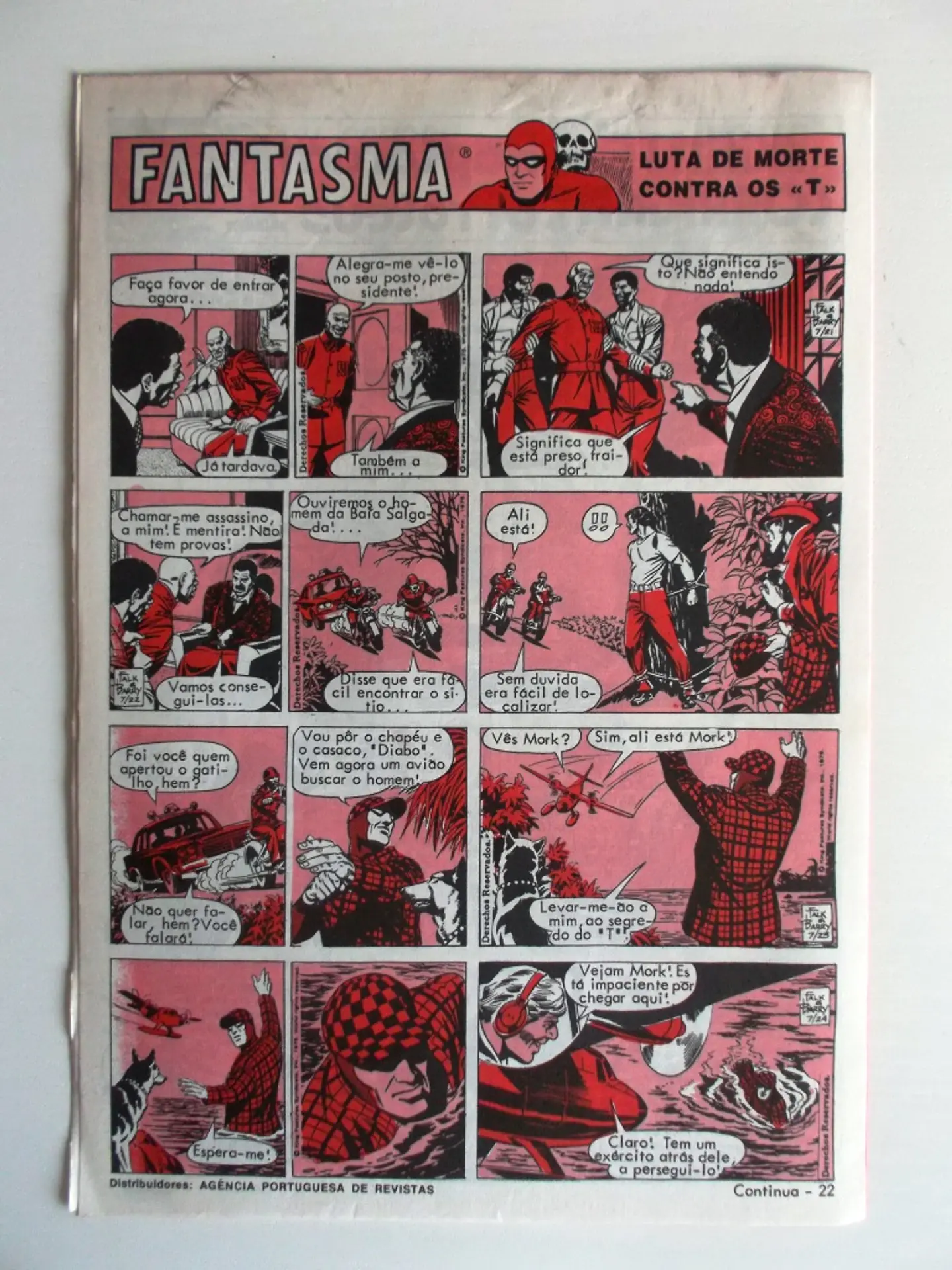 O Grilo 41 2
