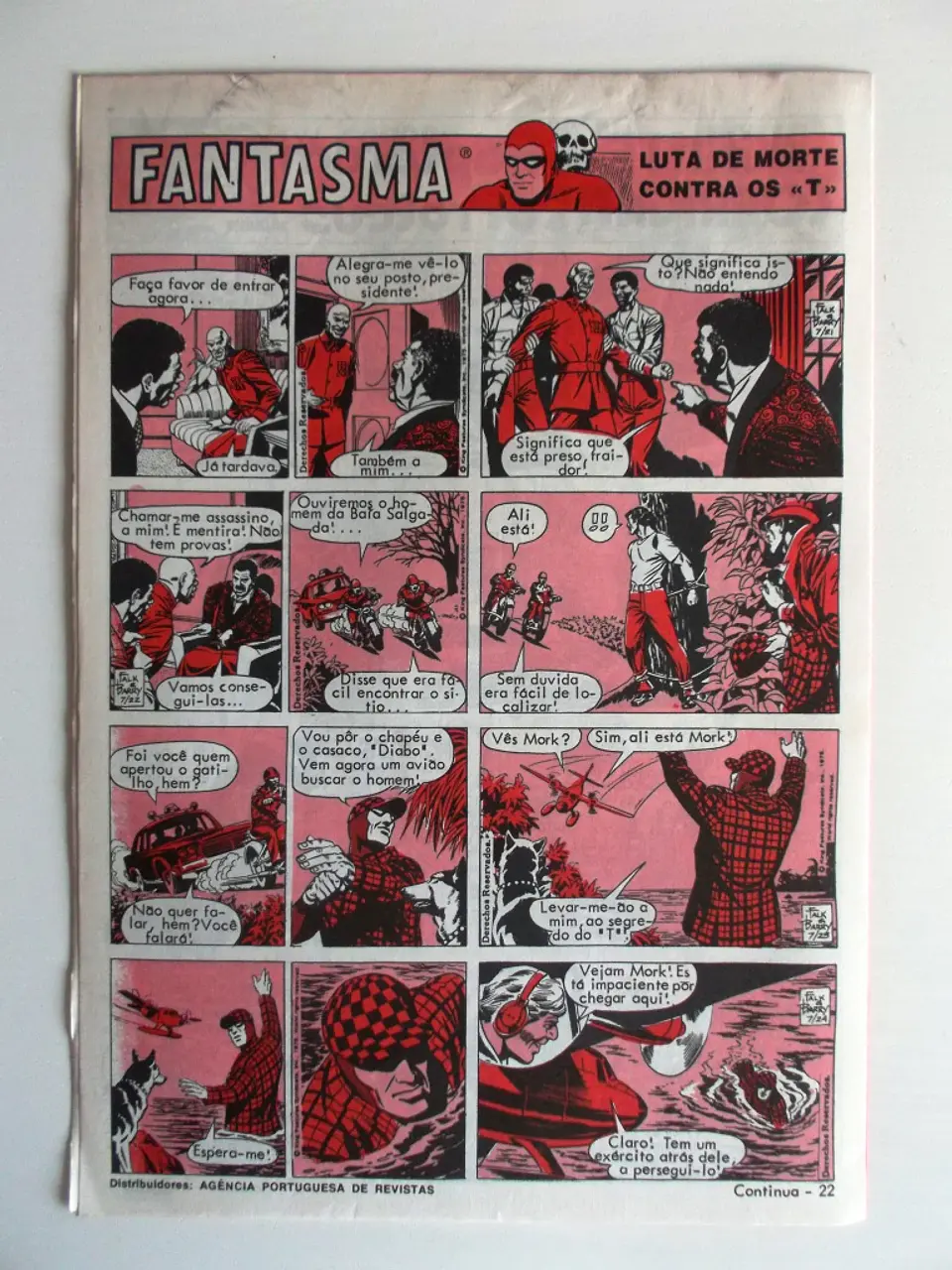O Grilo 41 2