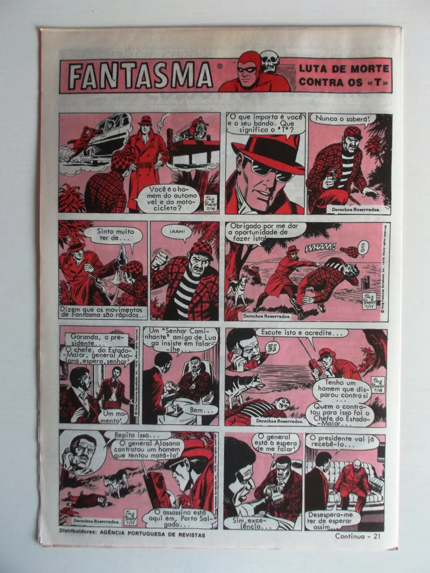O Grilo 40 2