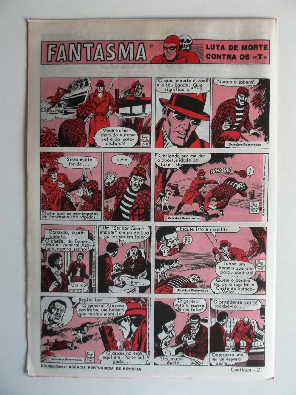 O Grilo 40 2