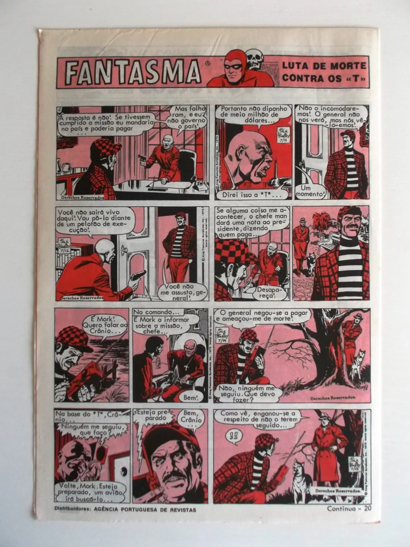 O Grilo 39 2