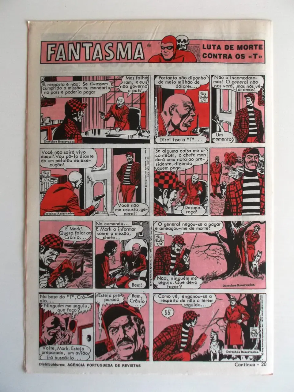 O Grilo 39 2