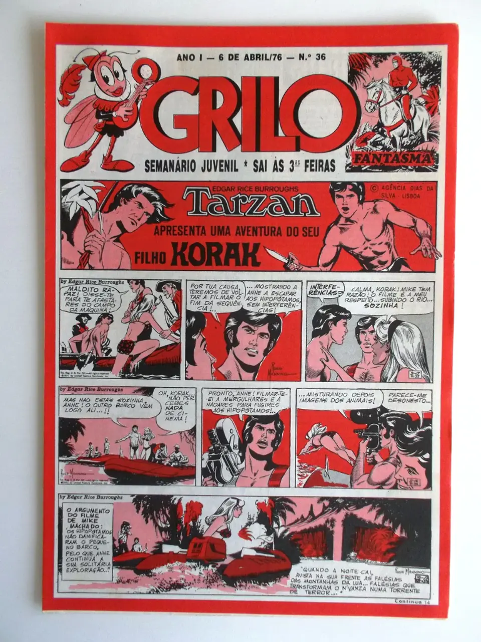 O Grilo 36 1