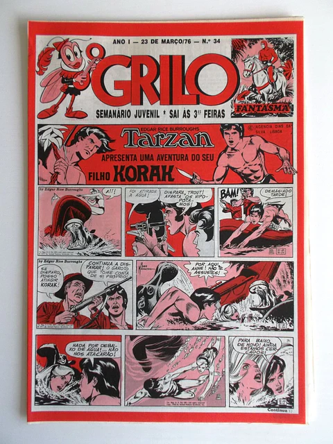 O Grilo 34