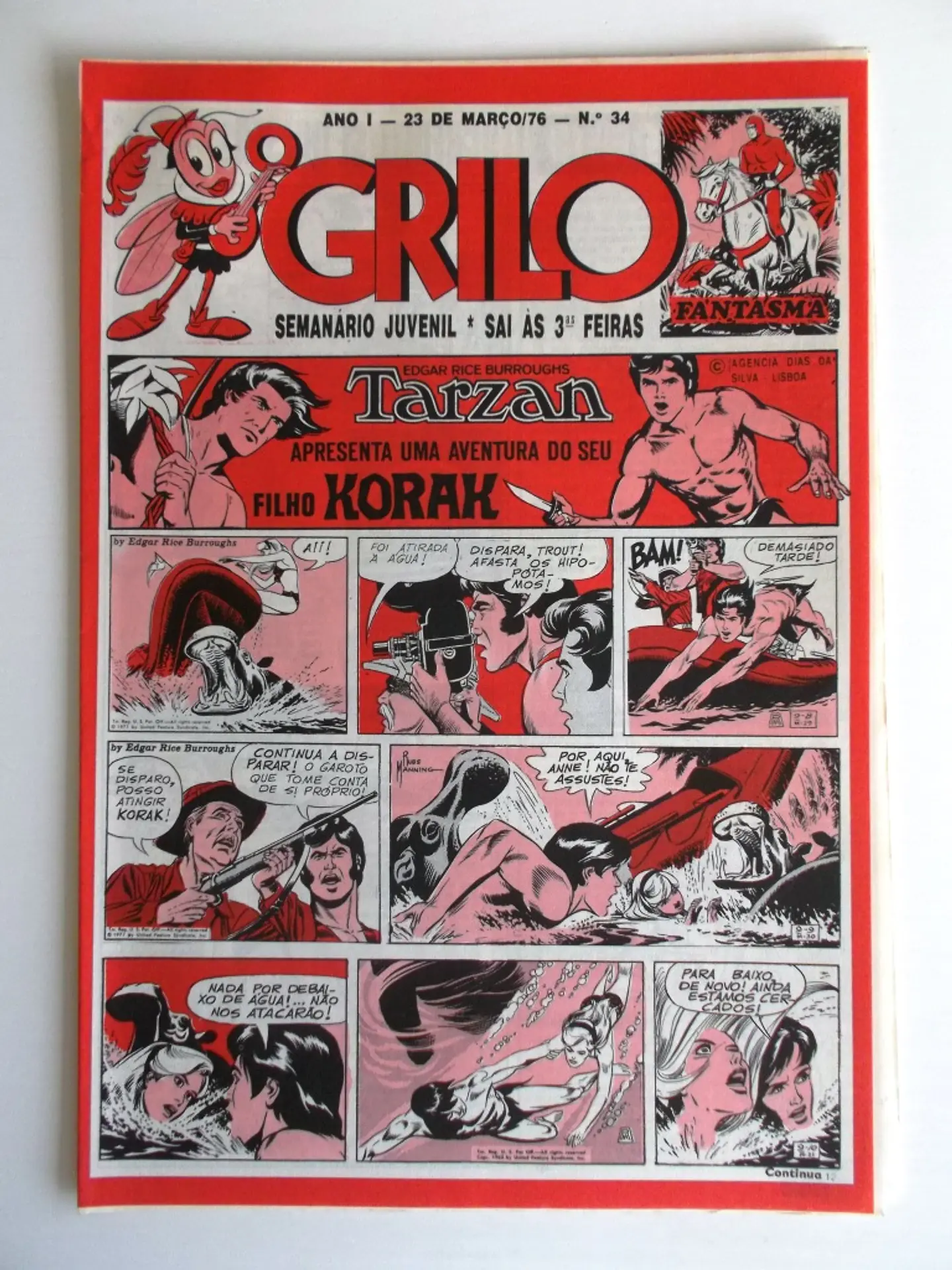 O Grilo 34 1