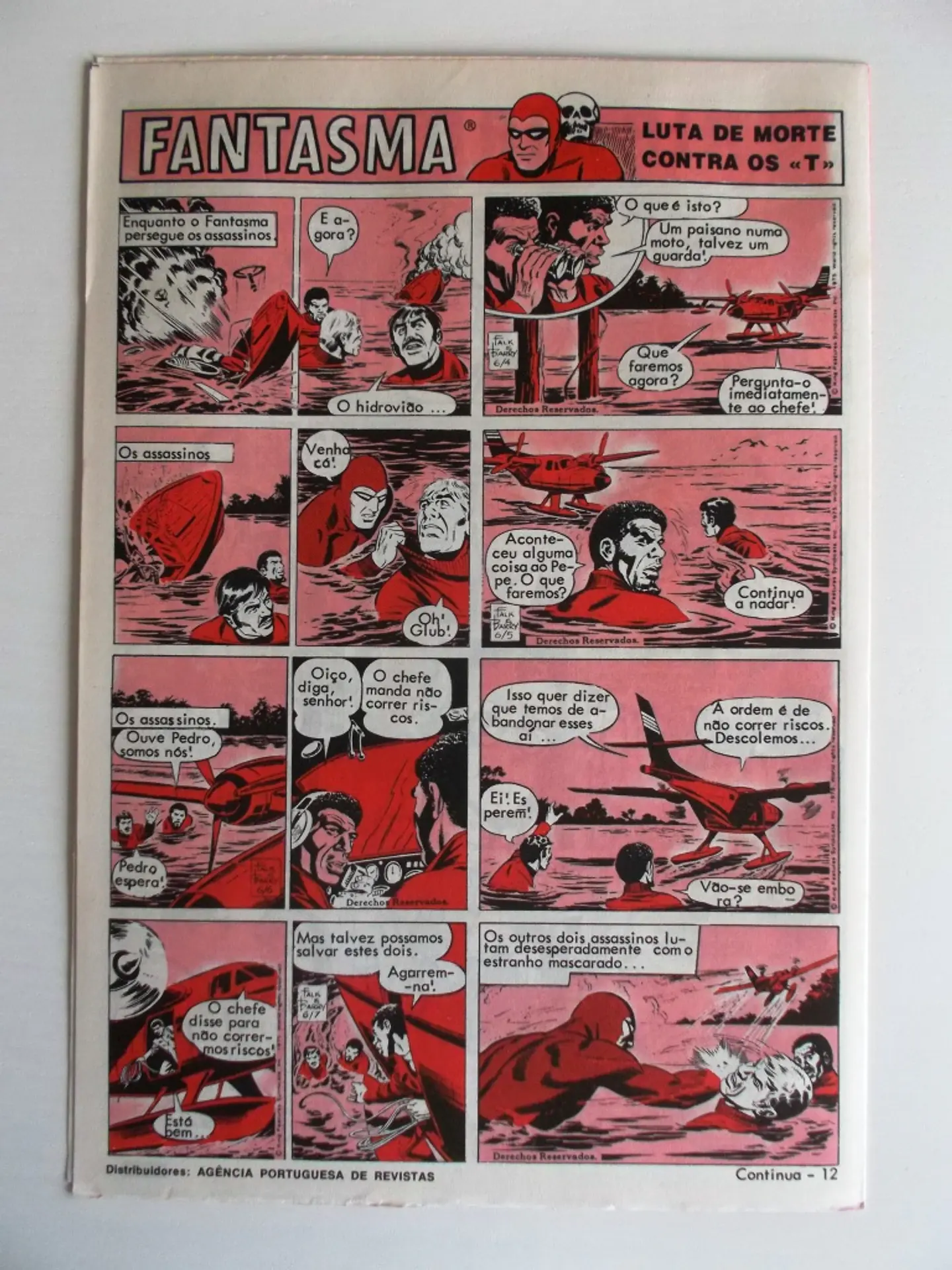 O Grilo 31 2