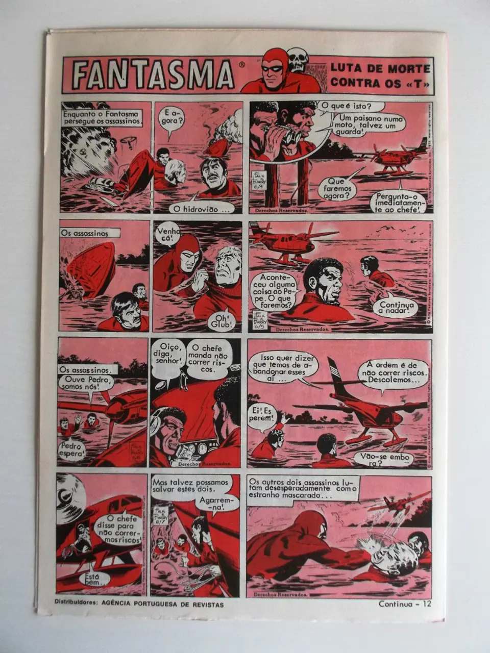 O Grilo 31 2