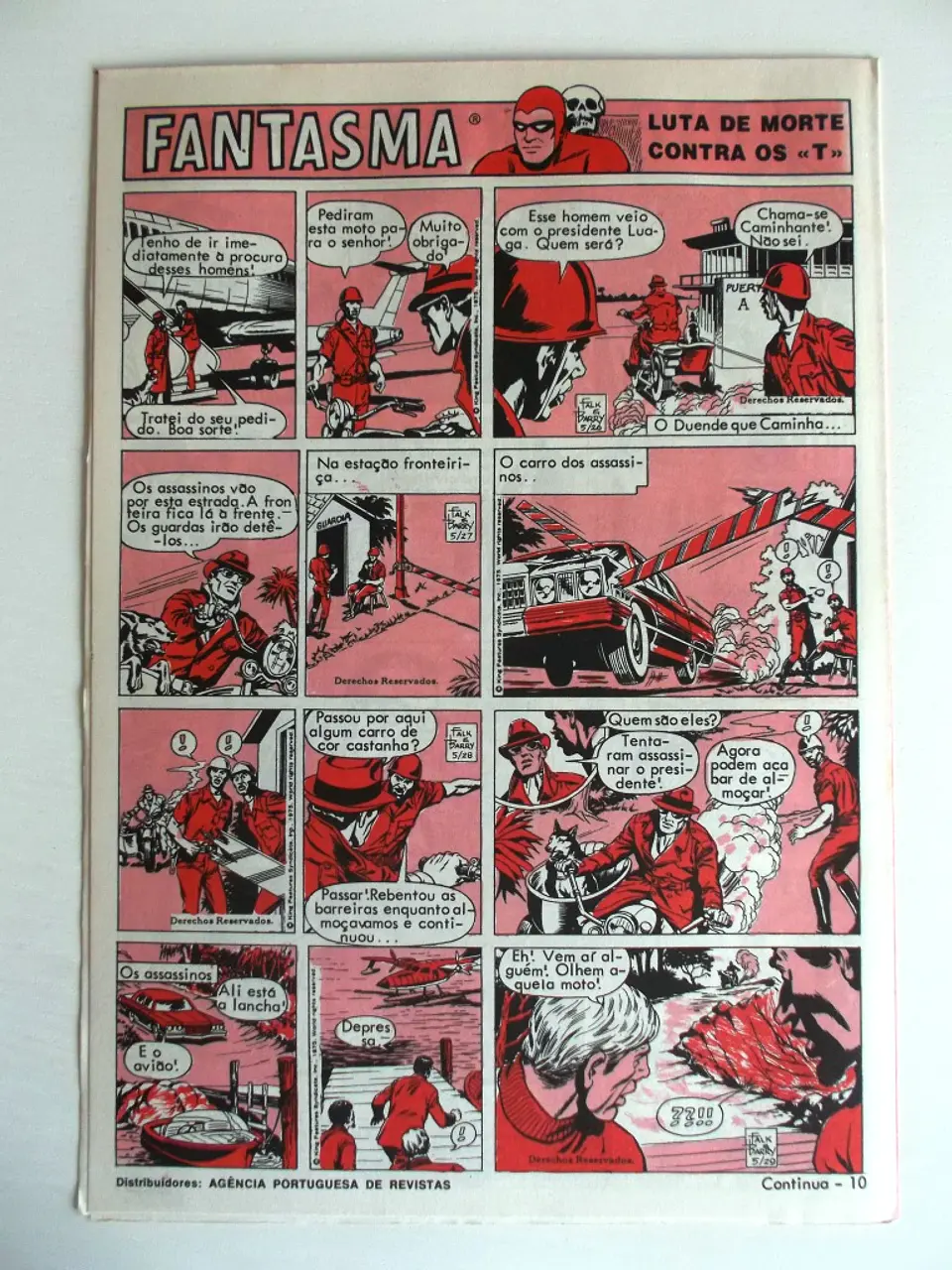 O Grilo 29 2